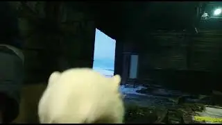 белые медведи и люди друзья)