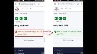 Verify Your PAN From incometax.gov.in |PAN Is Active But Details Are Not As Per PAN |PAN Verify 2024