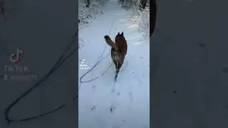 la neige