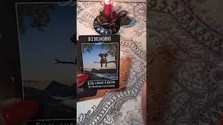 СОВЕТ КАРТ ДЛЯ ВАС !!! 