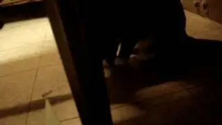 Sam learns to bitchslap