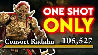 Beating Elden Ring's DLC With 1 MELEE Hit