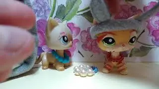 ПРОДАЮ СШИТЫЕ ОБОДКИ ДЛЯ ЛПС!!! ДЕЛАЮ САМА! + ОШЕЙНИКИ НЕ ДОРОГО !!!!