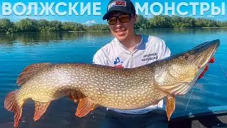 ЩУКИ-ЛЮДОЕДЫ и СУДАКИ-ГИГАНТЫ Пойманы! Подготовка и участие в Турнире 'Волжские Монстры 2024'