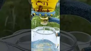 You Must Give It A Try! 