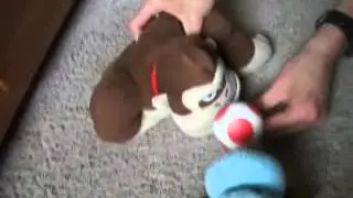 DK Forgives the Goomba Boys
