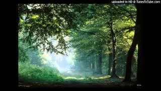 The Trees Community - Psalm 45