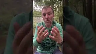 Почему трудно просить помощь и поддержку? Как формируется «Лучше я сам!»?