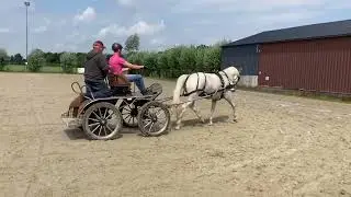 Daan voor de wagen 2