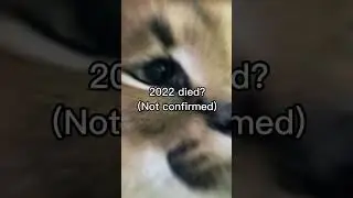 Memes make dogs immortal part 4 