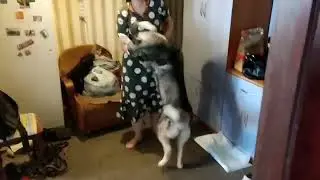 Ля-ля-ля-ля-ля, стою у дверей.Ля-ля-ля, вернулась с подарками,Дверь откройте, дверь откройте скорей.