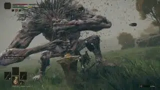 Elden Ring Troll farm lvl 35-55