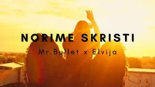 Mr.Bullet x Elvija - NORIME SKRISTI [Naujiena, 2024/01/24]