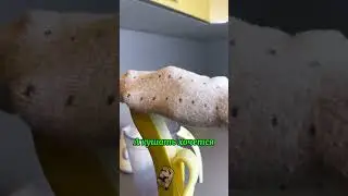 Ну идеальный папа же😂 