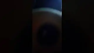 1 декабря 2023 г.