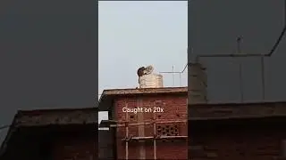 Pakad liya sale ko 😂