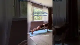 4 min Plank Challenge for strong abs