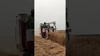 Combine Harvester 