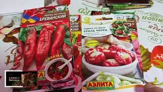 ОБЗОР ПОСЫЛКИ С СЕМЕНАМИ 📬  ИНТЕРНЕТ МАГАЗИН 💥💥💥 АЭЛИТА ☕☕☕🥒🌶️🌽🥕🌱🧅🍅🍠💥