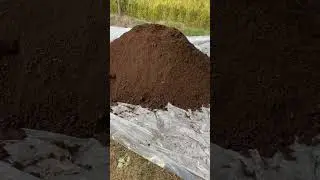 Top Quality Vermicompost🪱🌾 #attitudestatus#vermicompost #vermicomposting #organicfarming