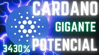 CRIPTO CARDANO: QUANTO 1000 CRIPTOMOEDAS IRÃO VALER EM 2027 🚀🚀🚀🚀🚀