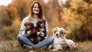 Tell your Story Aussies - Australian Shepherd Zucht - Hunde-Videografie