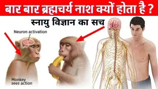 A Scientific Research On The Topics Of  Mind Attraction Power - Free Conscious Meditation Music