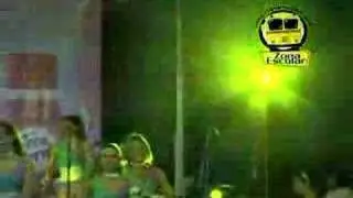 Gaitas Colegio Universidad Simon Bolivar