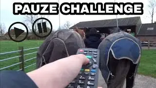 PAUZE CHALLENGE BIJ DE PAARDEN😱 | Daniëlla van der werf