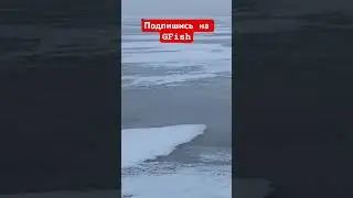 Красивые поклёвки l GFish! Подписывайся! #smelt #fishing
