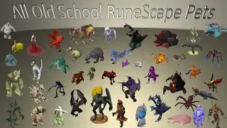 All Old School RuneScape Pets 4K