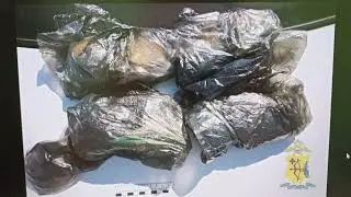 В Омутнинске задержали мужчину с крупной партией наркотиков