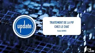 UPDATE - Traitement de la PIF chez le chat