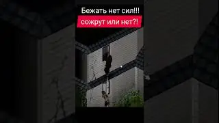 Project Zomboid - На волоске! 