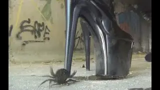 N39 Bug Crush Teaser -   Black Boots and Crabs