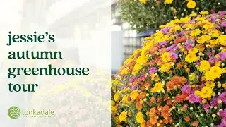 Jessie's Autumn Greenhouse Tour