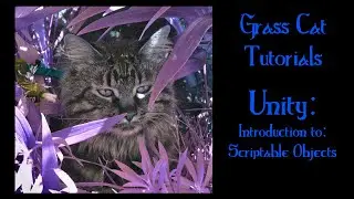 Unity 2020.2 - Introduction to Scriptable Objects