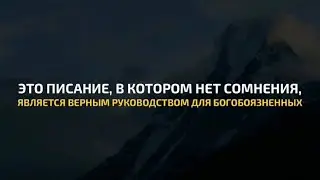Али Мединский | Сура Аль-Бакара | Красивое чтение Корана