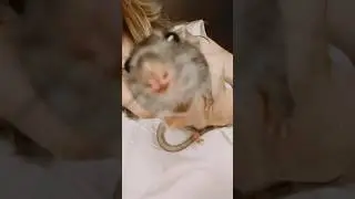 В Воронежской области сняли нечто…😱