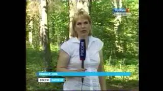 Bears in the Mari forests. What we need to remember.