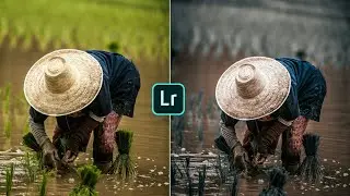 Moody black tone colour grading//lightroom photo editing