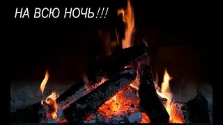 Успокаивающие видео. Костер на берегу! #live #relaxing