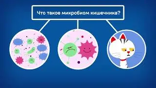 Hill's Prescription Diet Gastrointestinal Biome с технологией ActivBiome+ кошки, 1 мин. 17 сек.