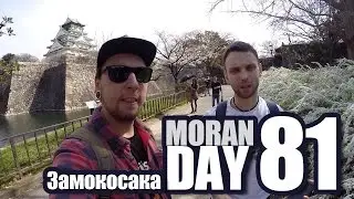 Moran Day 81 - Zamokosaka