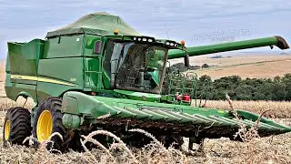 COLHEITA MILHO SAFRINHA NO PARANÁ💪🏼🌽🙏🏼!!! EP 340