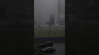 Коротко о погоде в Питере ☔️☀️