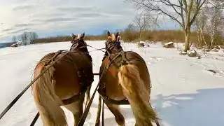 Cleaning off the Pond for Ice Skating // A Horse Drawn Ride With Jim & Brenda