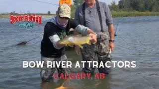FLY FISHING: BOW RIVER ATTRACTOR PATTERNS