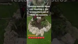 Siempre en nuestros corazones!!!❤️