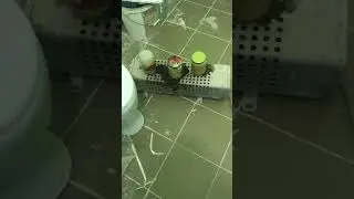 Когда нет денег на микроволновку, а разогреть еду нужно 😂